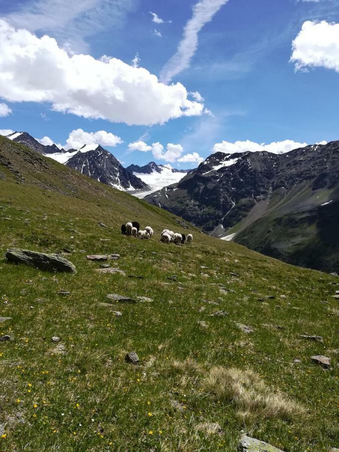 Haus Pechtl Hotel Sankt Leonhard im Pitztal Kültér fotó